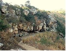 인도 왕사성 사타파니(칠엽굴) 동굴