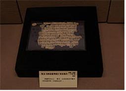 북위시대의 것으로  중국 신강 화전에서 발굴된  범본 법화경문.