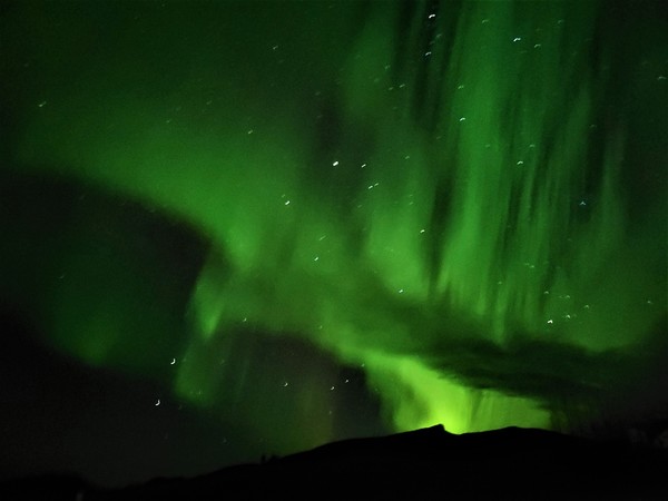 녹차색의 불사조와 같은 아이슬란드의 오로라.