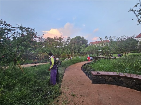 제주태고보현봉사단원들이 나눔숲과 미타요양원 주변 환경 정리를 하고 있다.